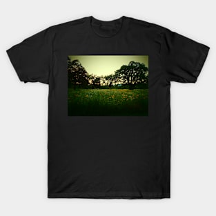 Yellow Meadow T-Shirt